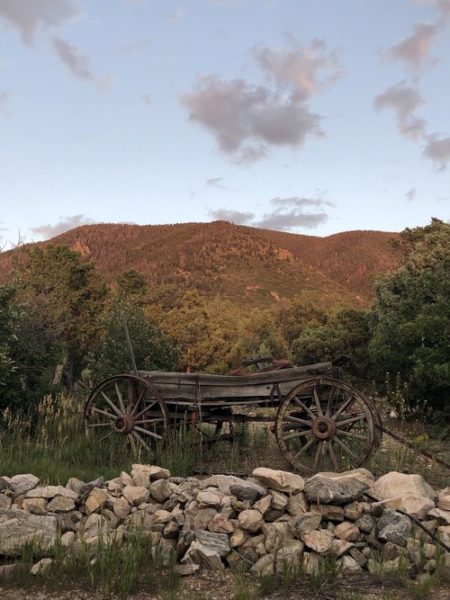 wagon